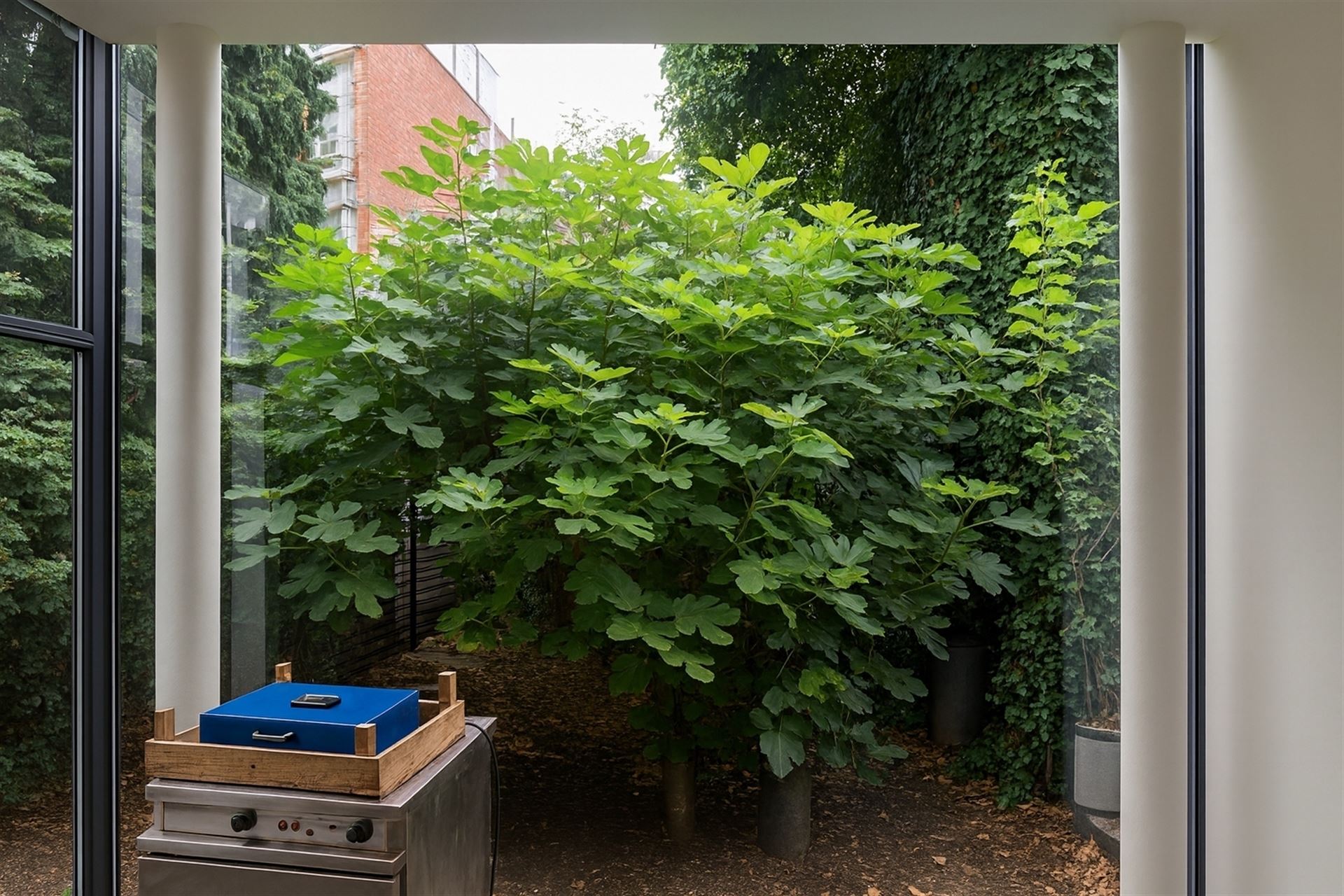 rez commercial - photo 4