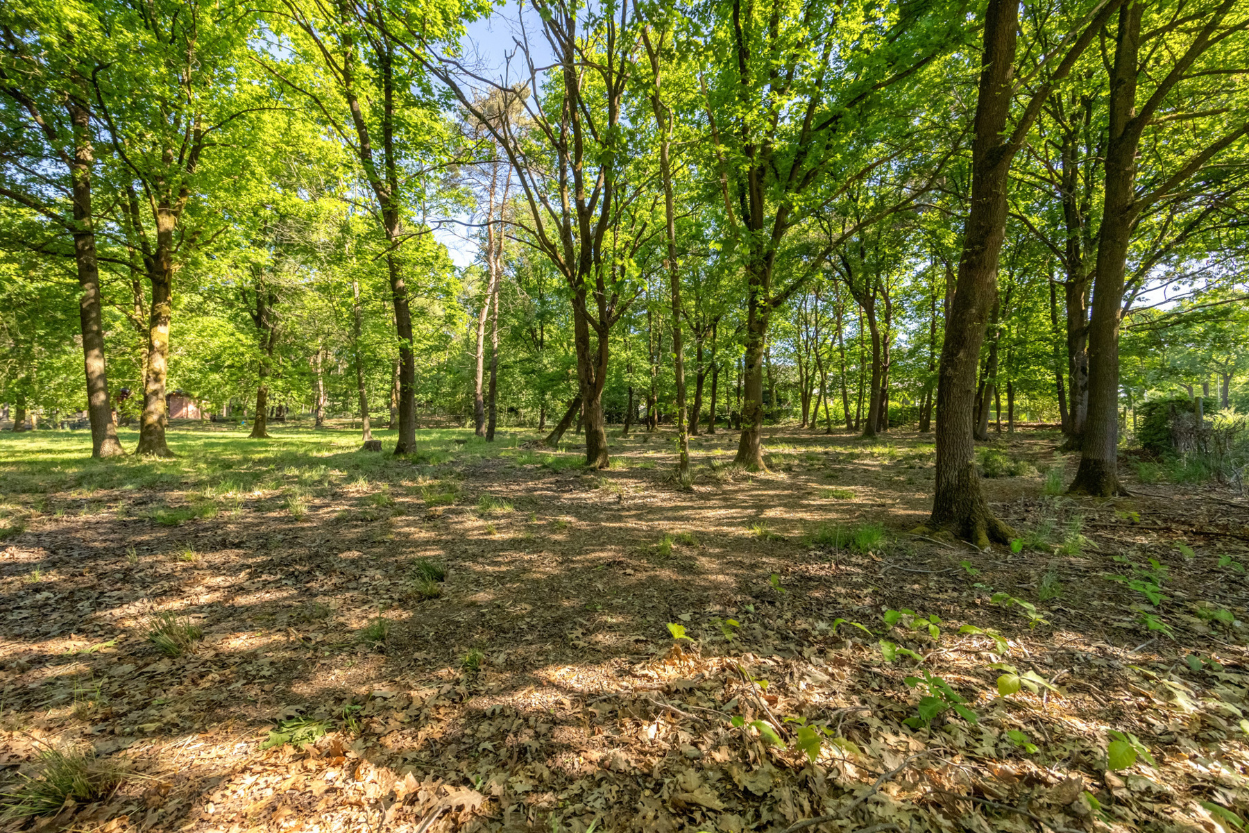 Terrain à vendre à Retie - photo 2