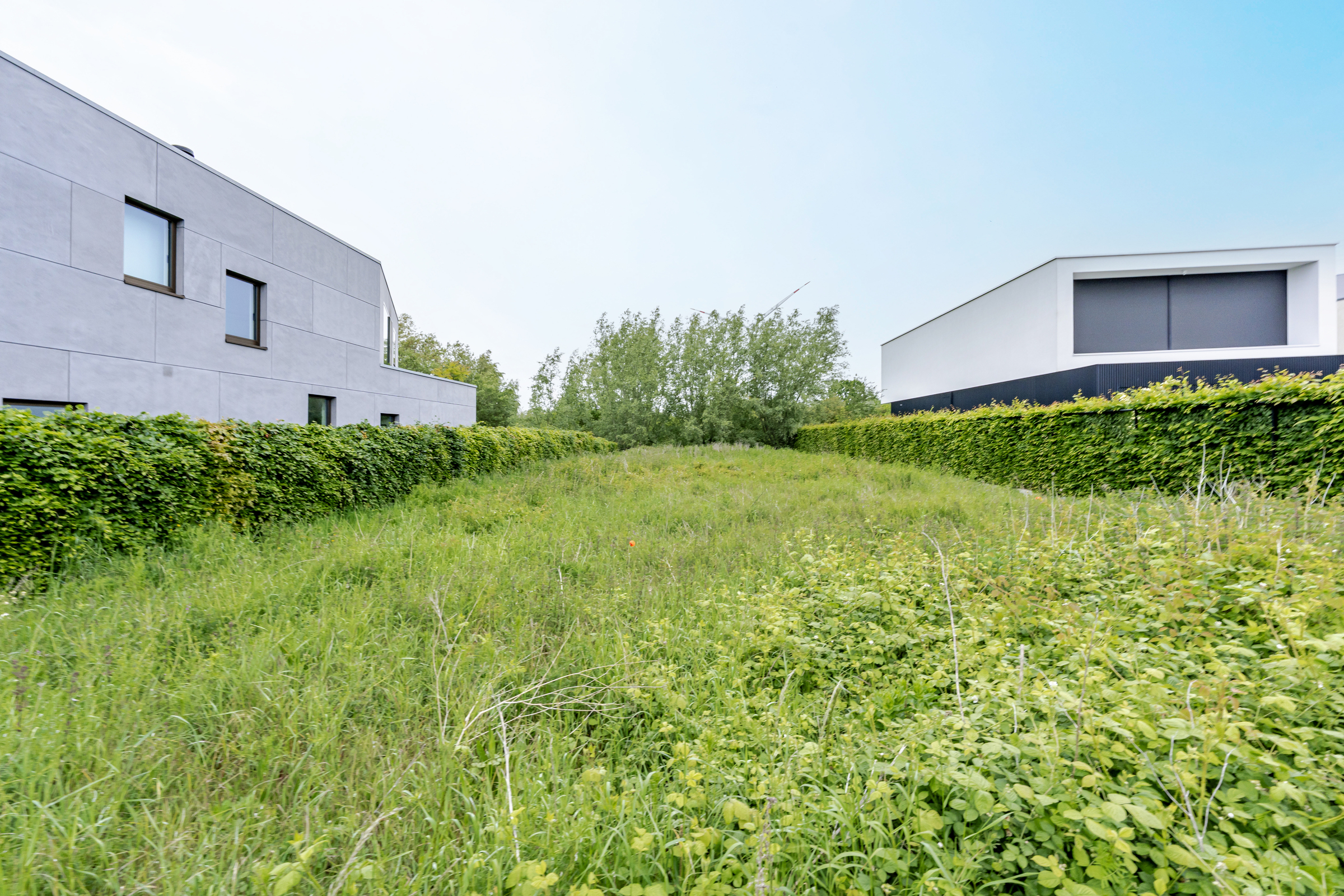 Unieke bouwgrond te koop in Wondelgem - foto 5
