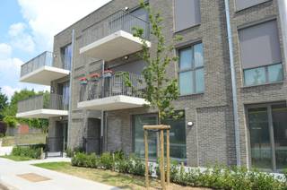 Apartment for rent in Wevelgem