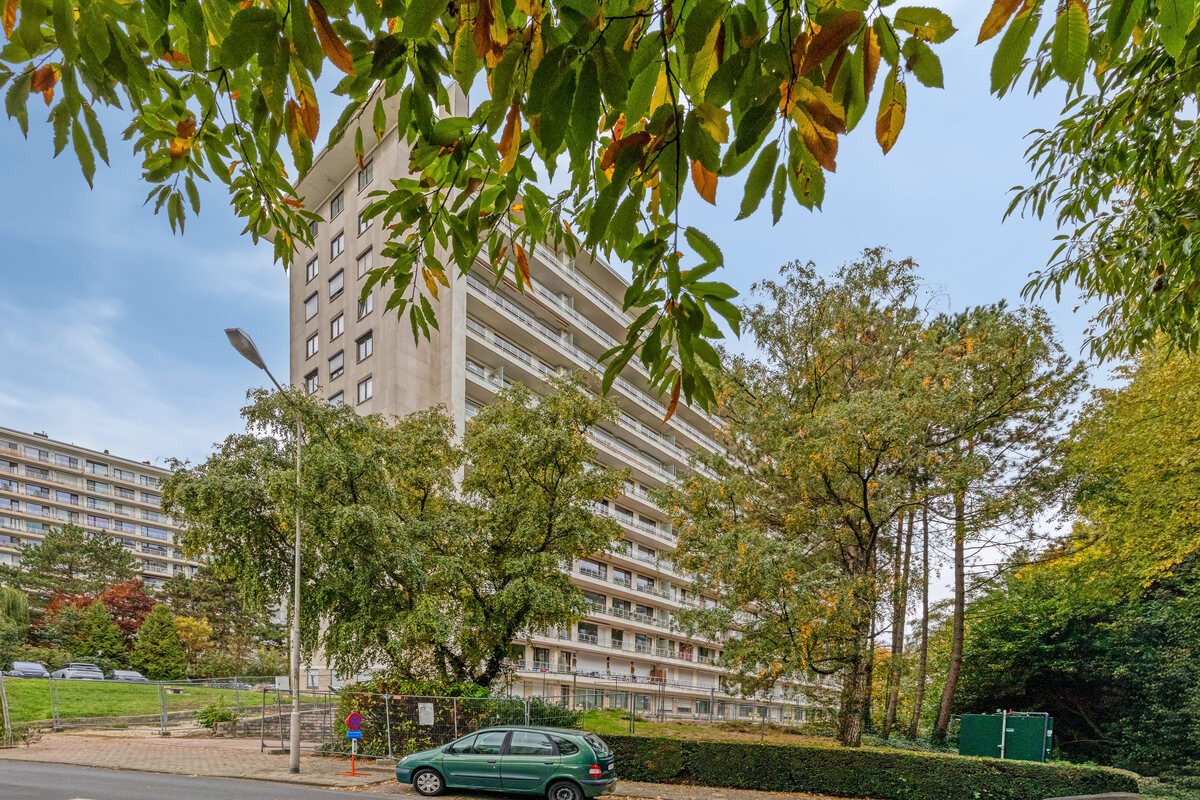 Ruim 3-slaapkamerappartement met terrassen en groen uitzicht - foto 1