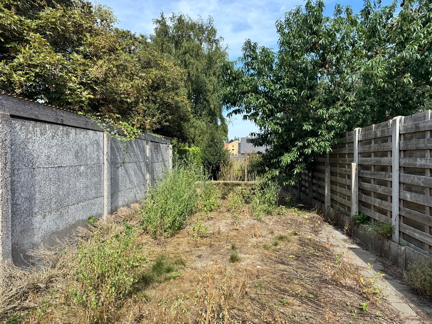 Gedeeltelijk afgebroken woning met potentieel te Koekelare - foto 5