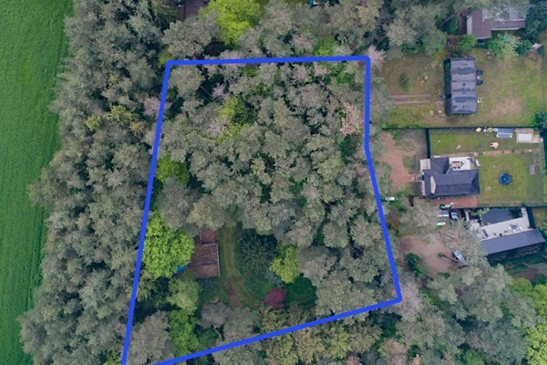 Libellestraat 15, 3271 Scherpenheuvel-Zichem - foto 2