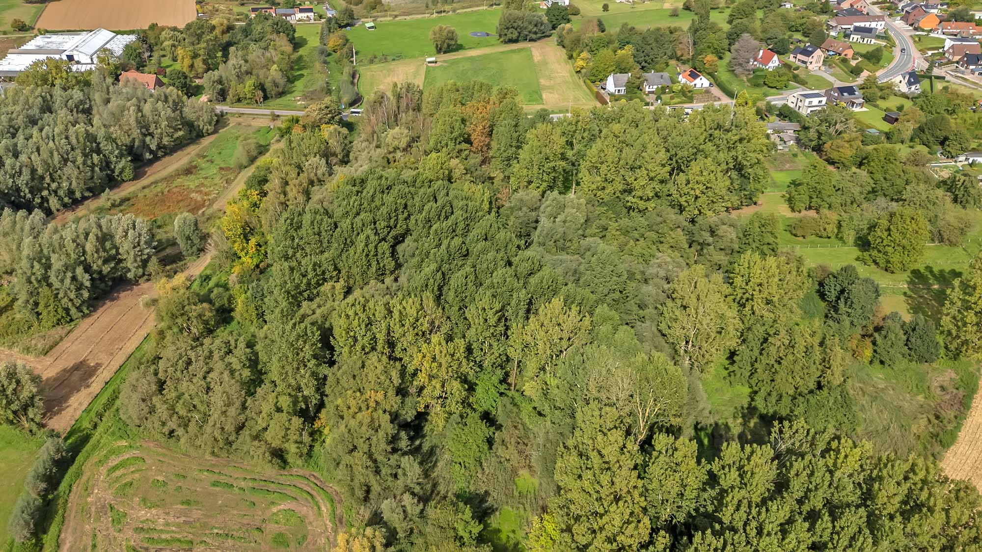 Land for sale in Lennik - photo 5
