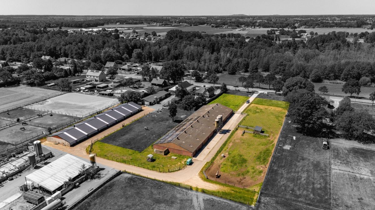 Vleeskalverenbedrijf te koop te Oudsbergen - foto 1