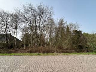Grond voor open bebouwing in rustige, residentiële buurt.Bent u op zoek naar de ideale locatie om uw droomwoning te bouwen? Deze ruime bouwgrond van...