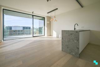 Ontdek dit hoogwaardig afgewerkt 2-slaapkamerappartement vlakbij Kasteel Blauwhuis. Dit appartement is gelegen op de vijfde verdieping van Blok VI...