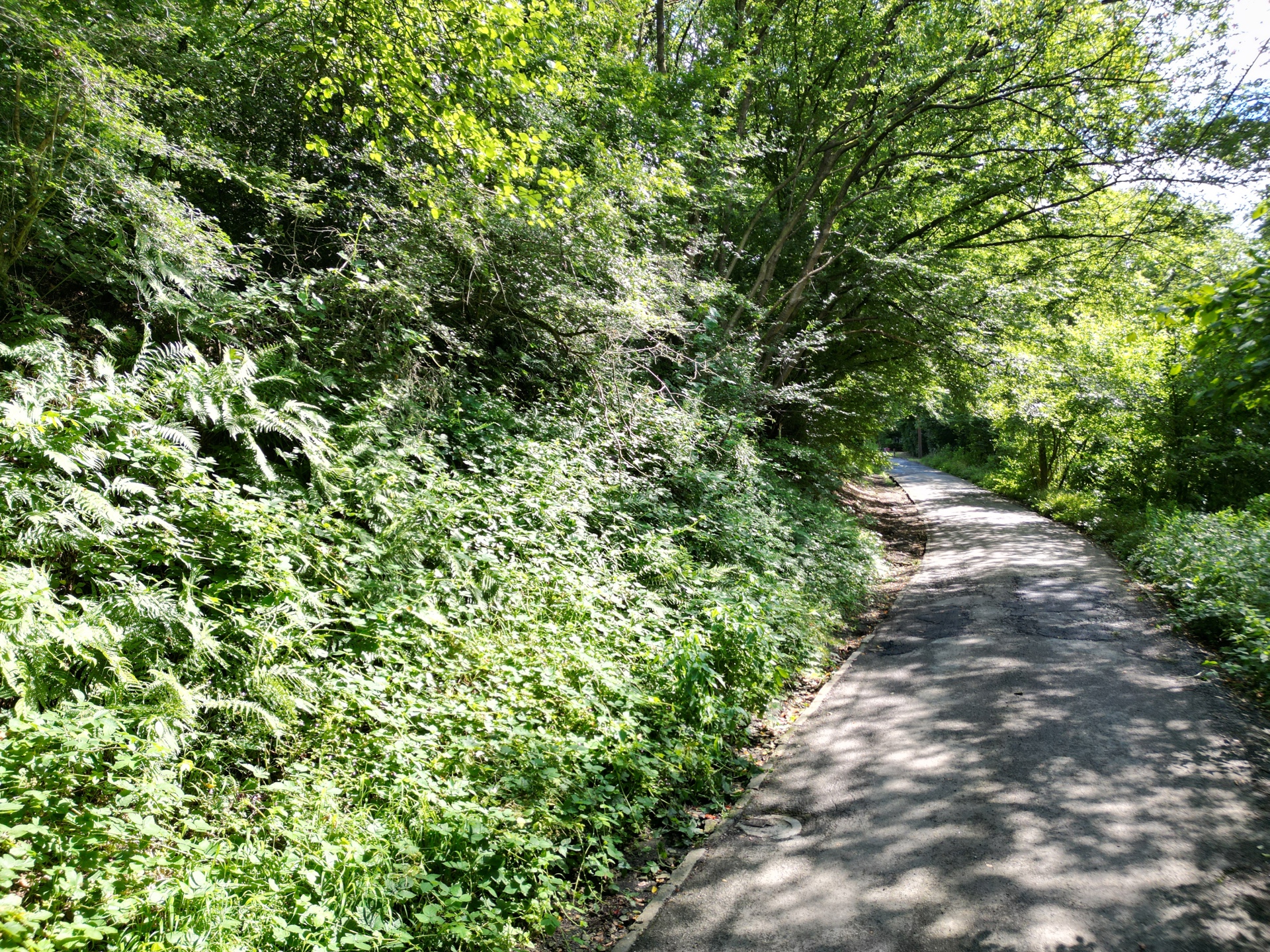 Grond te koop in Marchin - foto 3