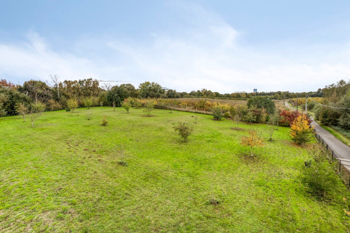 Landbouwgrond van 45a60ca tussen Grimbergen en Vilvoorde - foto 4