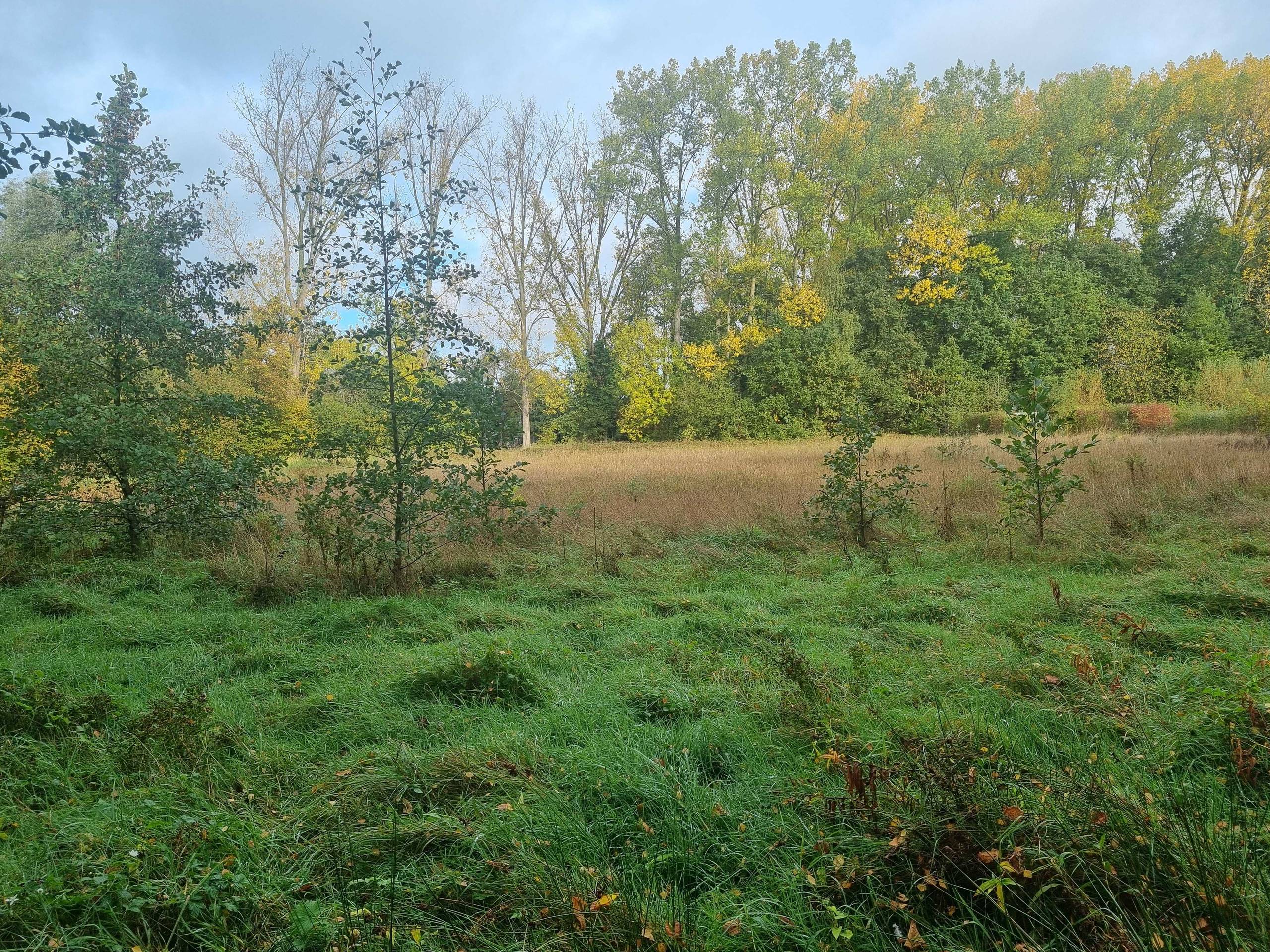 Grond te koop in Boortmeerbeek - foto 1