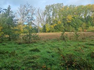 Een mooi perceel landbouwgrond,gelegen langs de Weesbeek.Totale oppervlakte is 54 are.Zeer geschikt om te dienen als tuinbouw,druiventeelt,landbouw...