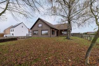 Welkom in deze ruime, veelzijdige woning in Olen, op 1200 m² grond, met bijna 300 m² bewoonbare oppervlakte. Er zijn 5 slaapkamers en de kelder is...