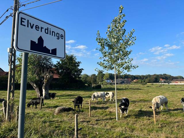 Project for sale in Elverdinge