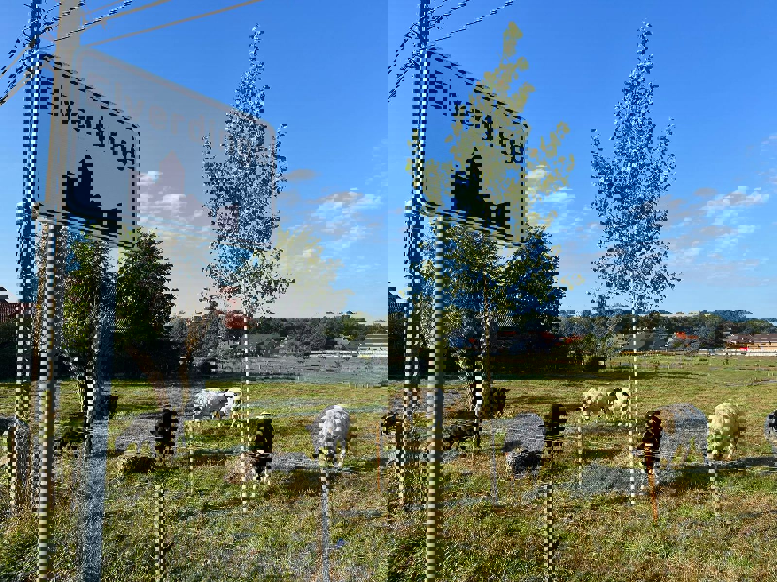 Project for sale in Elverdinge - photo 3