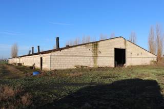 Voormalige pluimveestal (die was omgebouwd naar varkensstal) te koop te Tiegem.De stal is gelegen op een perceel van 3.422 m².De stal heeft een...