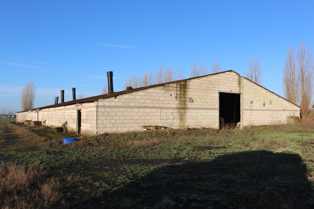 Voormalige stal te koop te Tiegem - foto 2