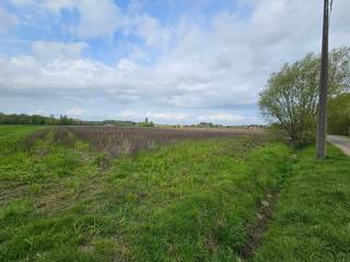 Perceel hooiland gelegen langsheen de Grote Spekstraat. Het perceel is eenvoudig te bereiken via de straat en is omgeven door andere akkerlanden...