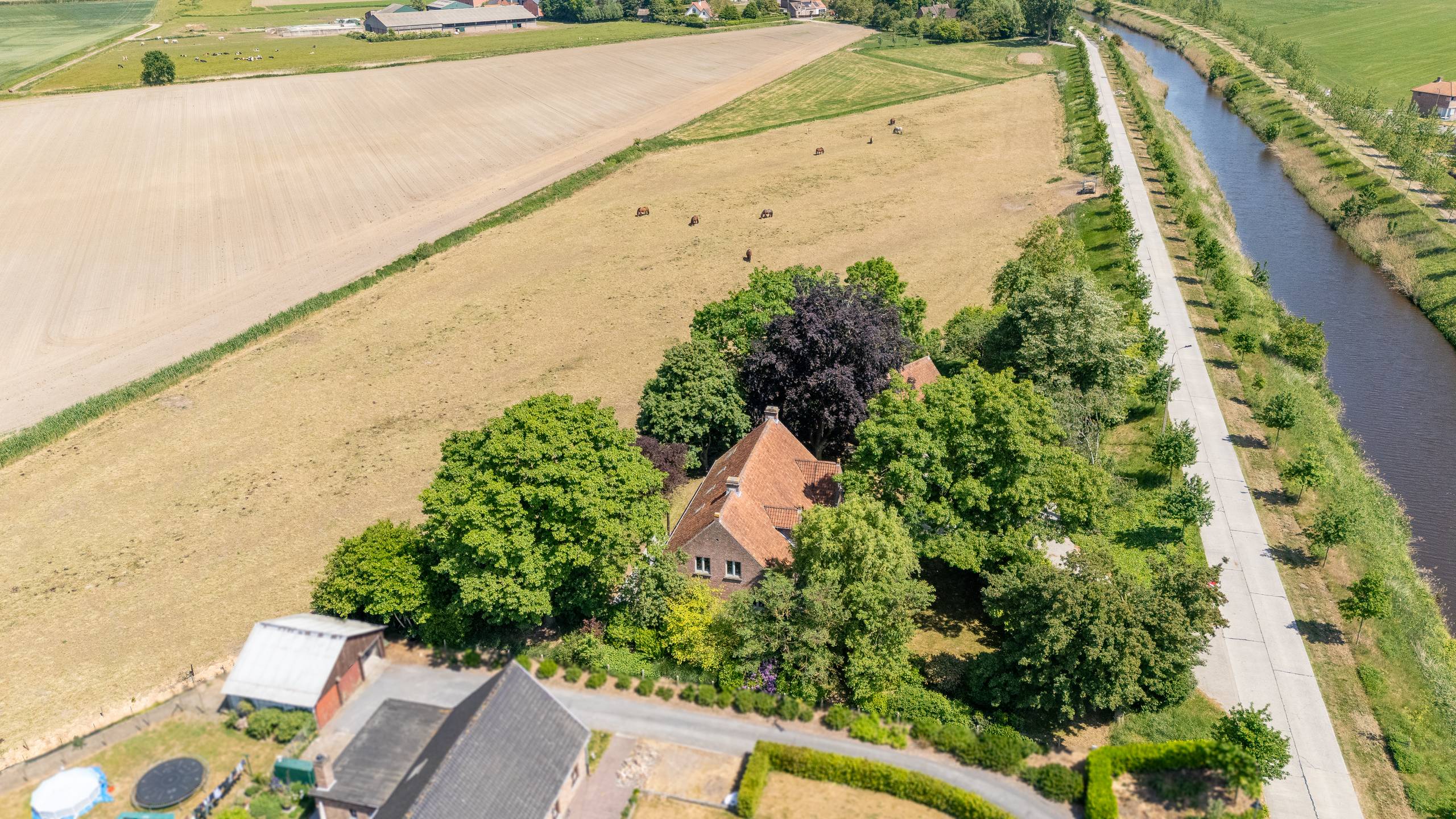 EXCLUSIEVE WONING MET BOOMGAARD IN SINT-LAUREINS (2,526 m²) - foto 3