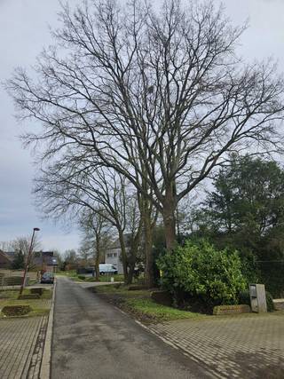 Land for sale in Olen