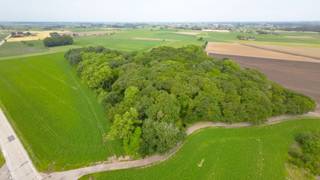 <span><span>Tussen Vladslo en Leke, nabij <strong>Diksmuide</strong>, bieden wij u dit uitzonderlijke stukje natuurschoon aan. Dit <strong>perceel bos</strong>, gelegen in <strong>natuurgebied</strong>, meet een totale grondoppervlakte van <strong>31.480 m²</strong>, en situeert zich in de onmiddellijke omgeving van het 'Praetbos' en het 'Duits Militair kerkhof WOI'.<br /><br />Het betreffende perceel, nl. A165d, bevindt zich <strong>ter hoogte van het kruispunt van de Houtlandstraat en de Ramboutstraat</strong>, en is toegankelijk via diezelfde Ramboutstraat. Het perceel is volledig afgesloten en te betreden via een afsluitbare toegangspoort.<br /><br />Enig in zijn soort in de ruime omgeving! Bent u een fervent natuurliefhebber? Dan is dit vast iets voor u!<br /><br />Wenst u meer informatie of een bezoek ter plaatse? Aarzel niet en contacteer ons kantoor op het nummer 051 50 11 51 of per mail via diksmuide@diksimmo.be.</span></span>