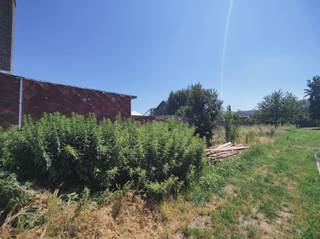 BOUWGROND RUIEN - 632M² Dit uitstekende bouwperceel in Ruien biedt u een unieke kans om uw droomwoning te realiseren. Met een grondoppervlakte van 632 vierkante meter beschikt u over voldoende ruimte. Het perceel is ideaal gelegen in het rustieke dorpsmilieu van Ruien, waar u in de buurt blijft van alle nodige voorzieningen. De omgeving wordt gekenmerkt door authentieke architectuur en groene landschappen, wat een aangenaam woonklimaat waarborgt.Meer informatie? Neem contact met Stein via 0468 41 38 48 of stein@immovercoutere.be