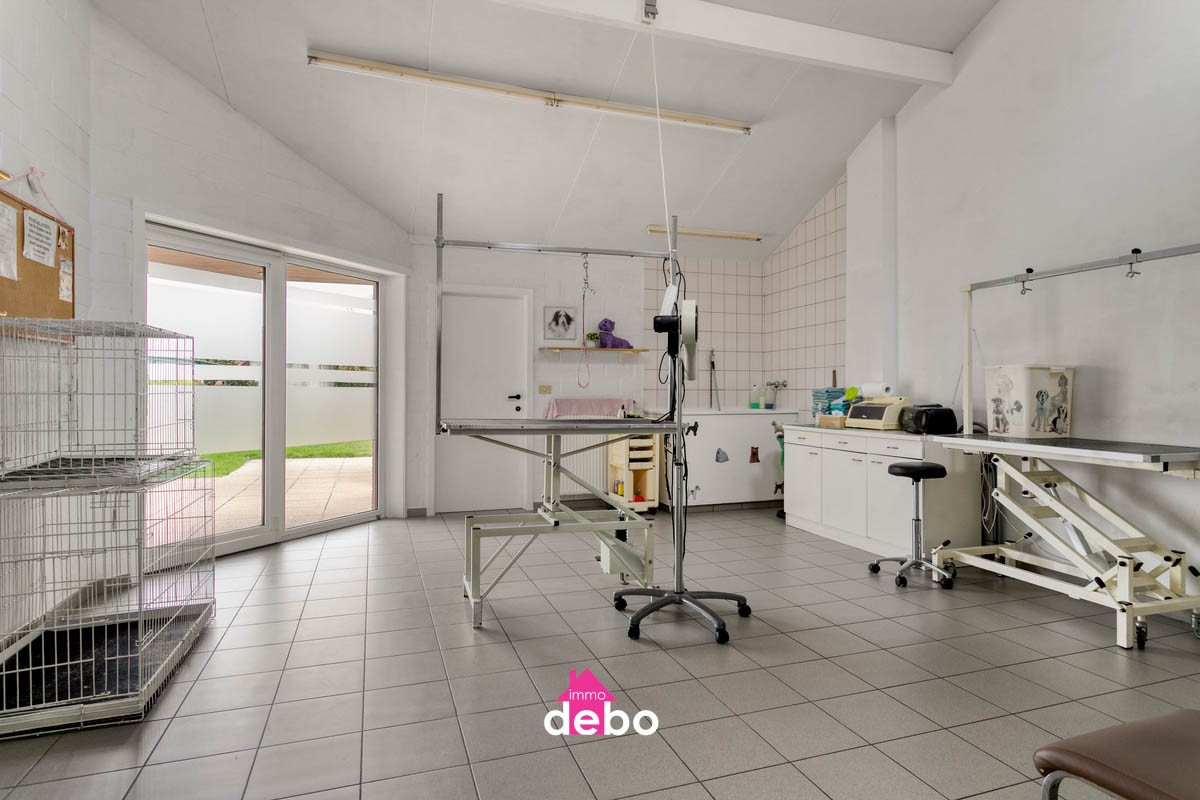 Handelspand + instapklare woning op commerciële ligging – ideaal voor wonen en werken! - photo 3