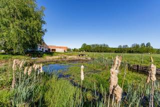 House for sale in Kruisem