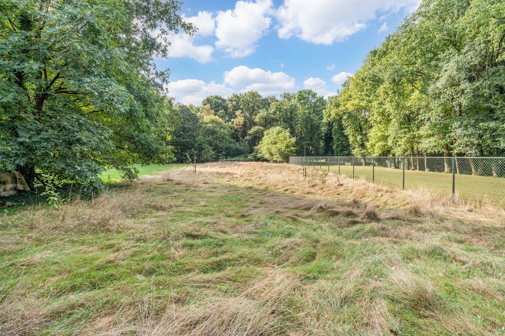 🏡 Ruime gezinswoning op toplocatie in het centrum van Helchteren - foto 5