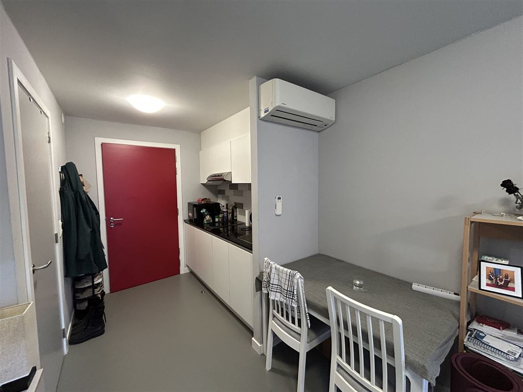 instapklare studentenstudio op een centrale locatie in Leuven - foto 4