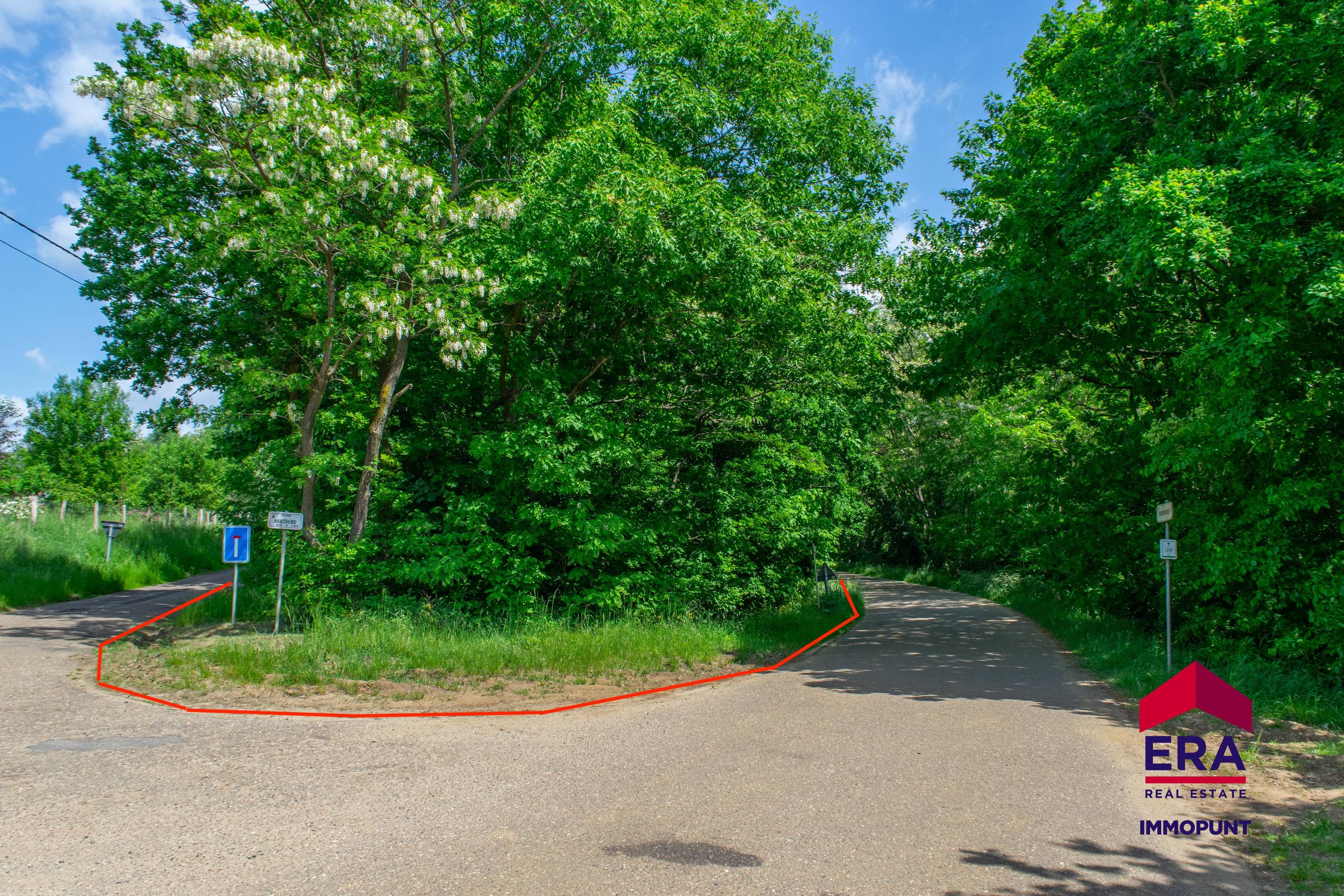 Bosgrond te koop op residentiële locatie Tielt Winge 2,7 Ha - foto 3
