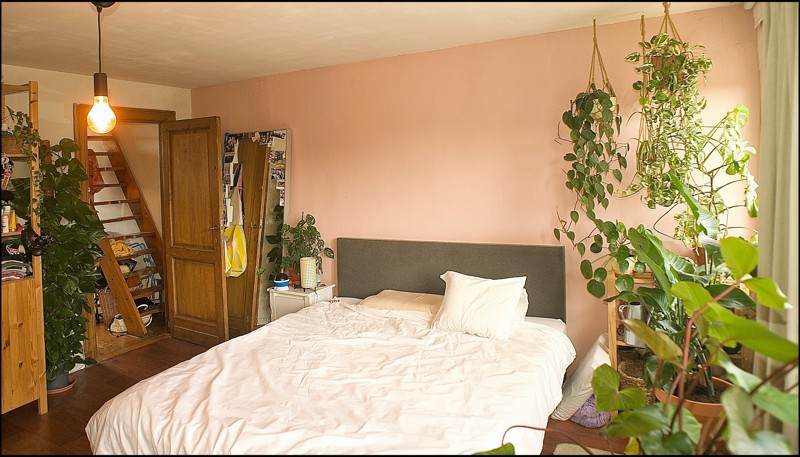 Maison à louer à Berchem avec 4 chambres - photo 5