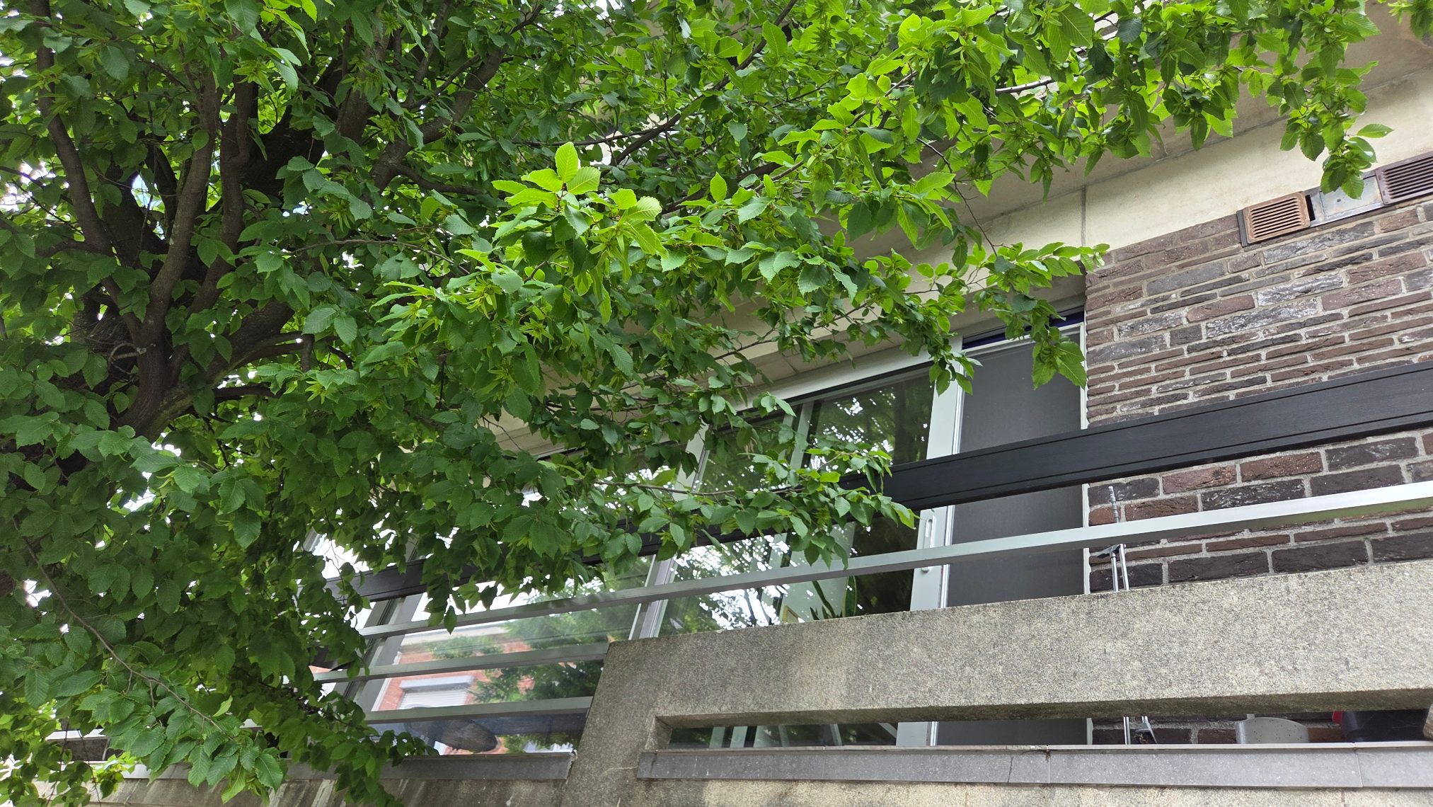 Appartement te koop in Hoboken met 3 slaapkamers - foto 2