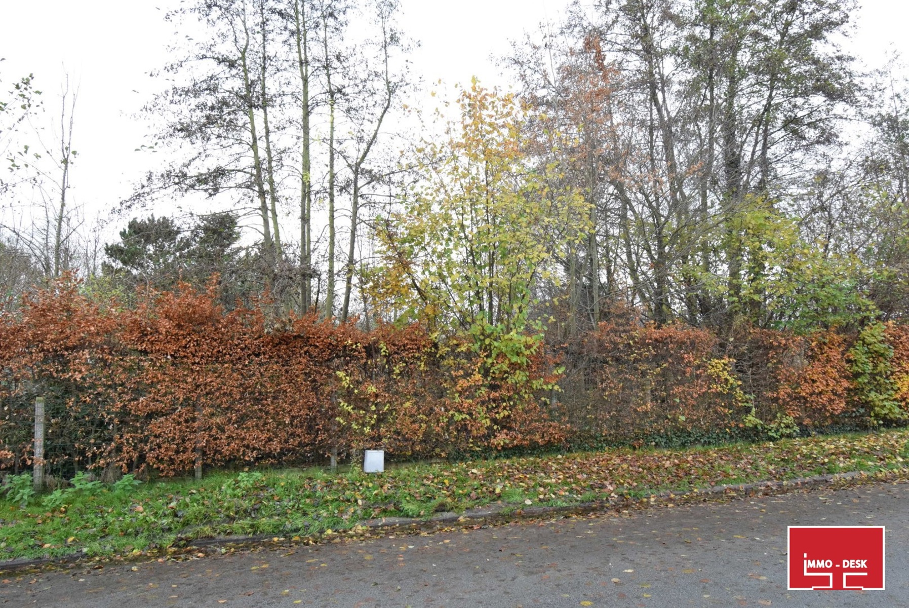 Maison à vendre à Denderleeuw avec 3 chambres - photo 4