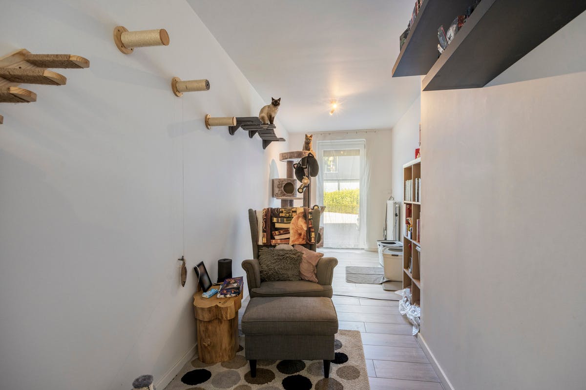 Gelijkvloers appartement met 2 staanplaatsen in Vilvoorde - foto 5