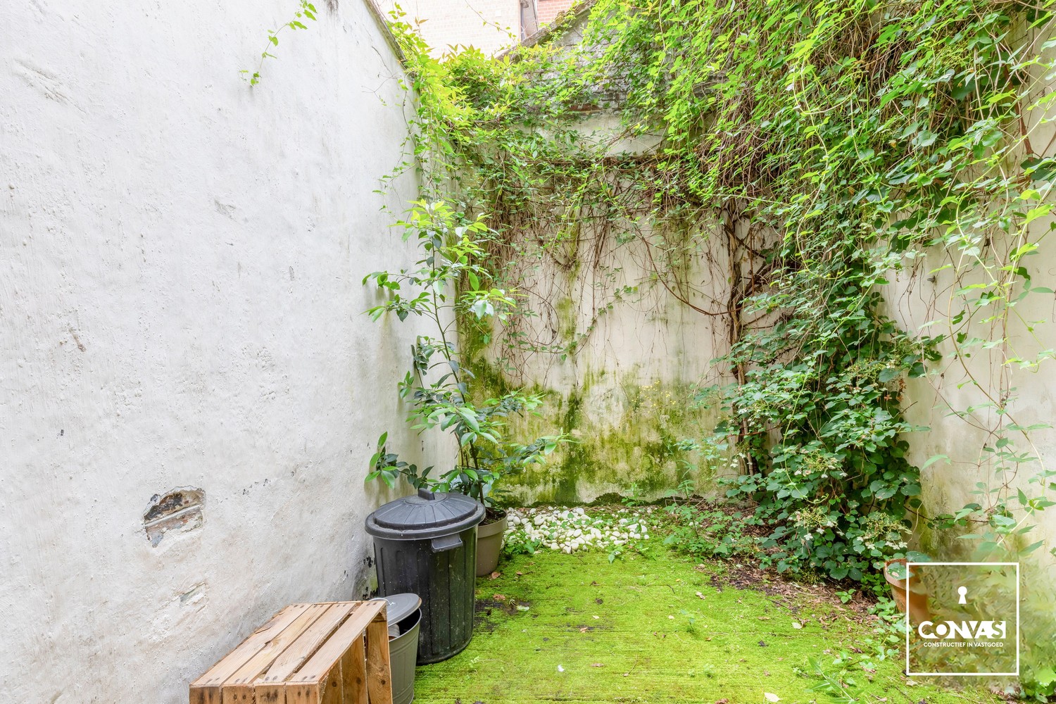 Opbrengsteigendom met studio en duplex-appartement op topligging - foto 5