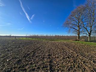 Land for sale in Tongeren-Borgloon