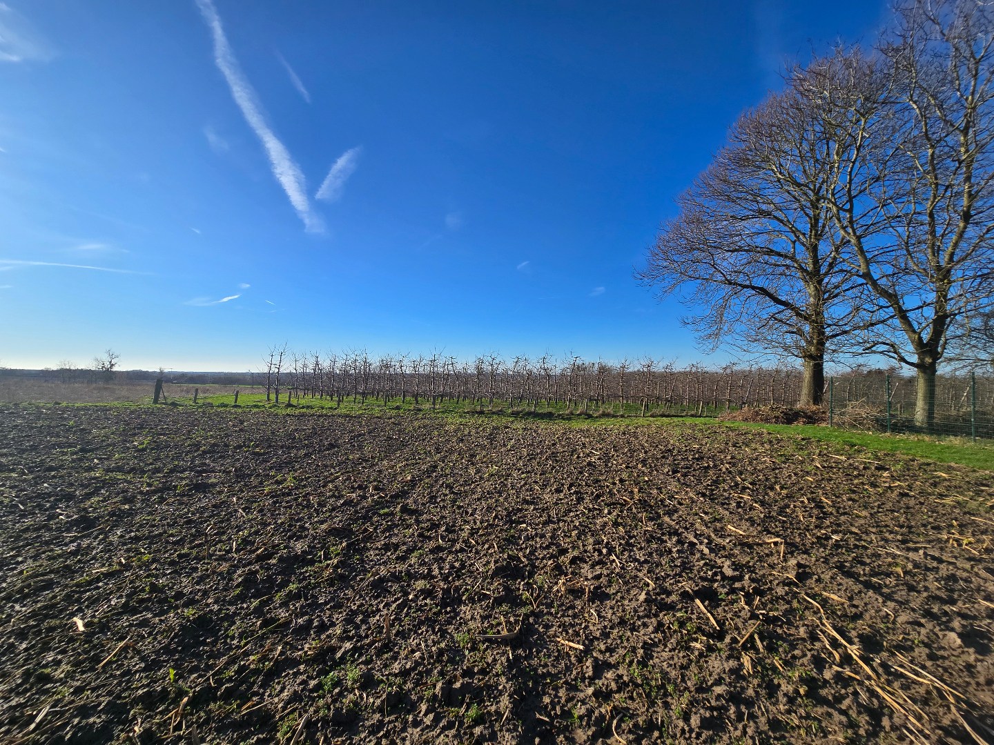 Terrain à vendre à Looz - photo 3