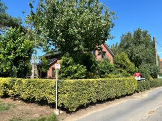 <strong>Hoeve op 6000m² met loods(mogelijkheid landbouwgrond bij te kopen )</strong><br />Er is 1 loods die blijft staan met een oppervlakte van 385m², de andere loodsen zijn om af te breken. Verder is het huis ook gedeeltelijk onder kelderd ( droog) .<br /><br /><strong>Indeling</strong><br />Op het gelijkvloers vindt je de woonkamer, keuken, wasruimte en badkamer.<br />Op het eerste verdiep bevinden zicht 3 slaapkamers.<br /><br /><strong>Troeven:</strong>
<ul><li>bestemmingswijziging goedgekeurd</li><li>mooi verzicht</li><li>aangename rustige straat</li><li>zonnepanelen inbegrepen</li></ul>
<br />mogelijkheid extra aanpalende grond(6000m²) bij te kopen:
<div>-totaal: 12.000m² &amp; <u>vanafprijs: €379.000</u></div>
<br />mogelijkheid apart landbouwgrond in de regio bij te kopen aan <u>120.000€/ha</u>
<div><br />- zie bijlagen voor meer informatie</div>