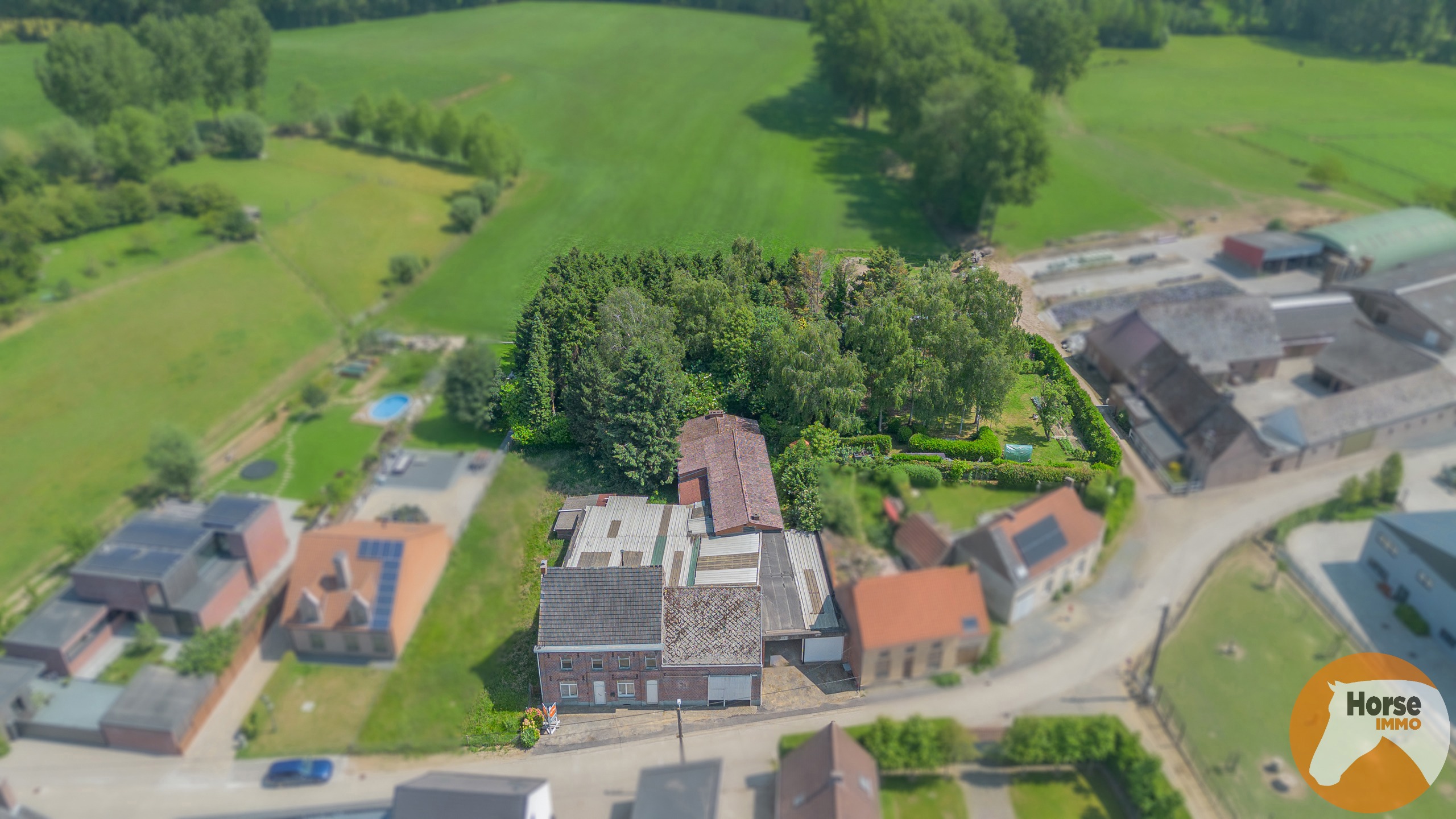 ST-L-ESSE - Ruime burgerwoning met achterliggende ateliers - foto 4