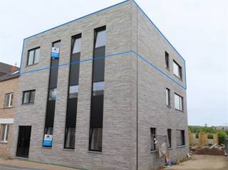 Vraag uw bezoek aan via info@optimusvastgoed.beTE HUUR: Recent appartement met 2 slaapkamers te Wellen!Dit nieuwbouw appartement is gelegen op de...