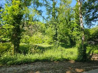 Dit perceel ligt in rustig en groen gebied in de Vaartstraat Tessenderlo-Ham.De grond is makkelijk bereikbaar en meteen beschikbaar.Contacteer ons op...