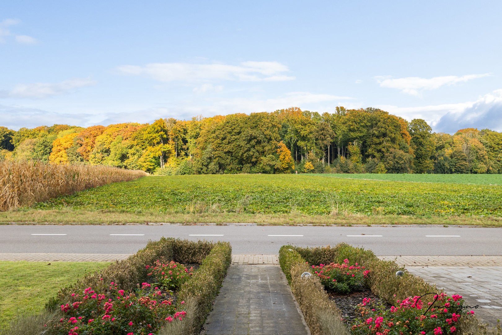 Maison à vendre à Tervuren avec 4 chambres - photo 4