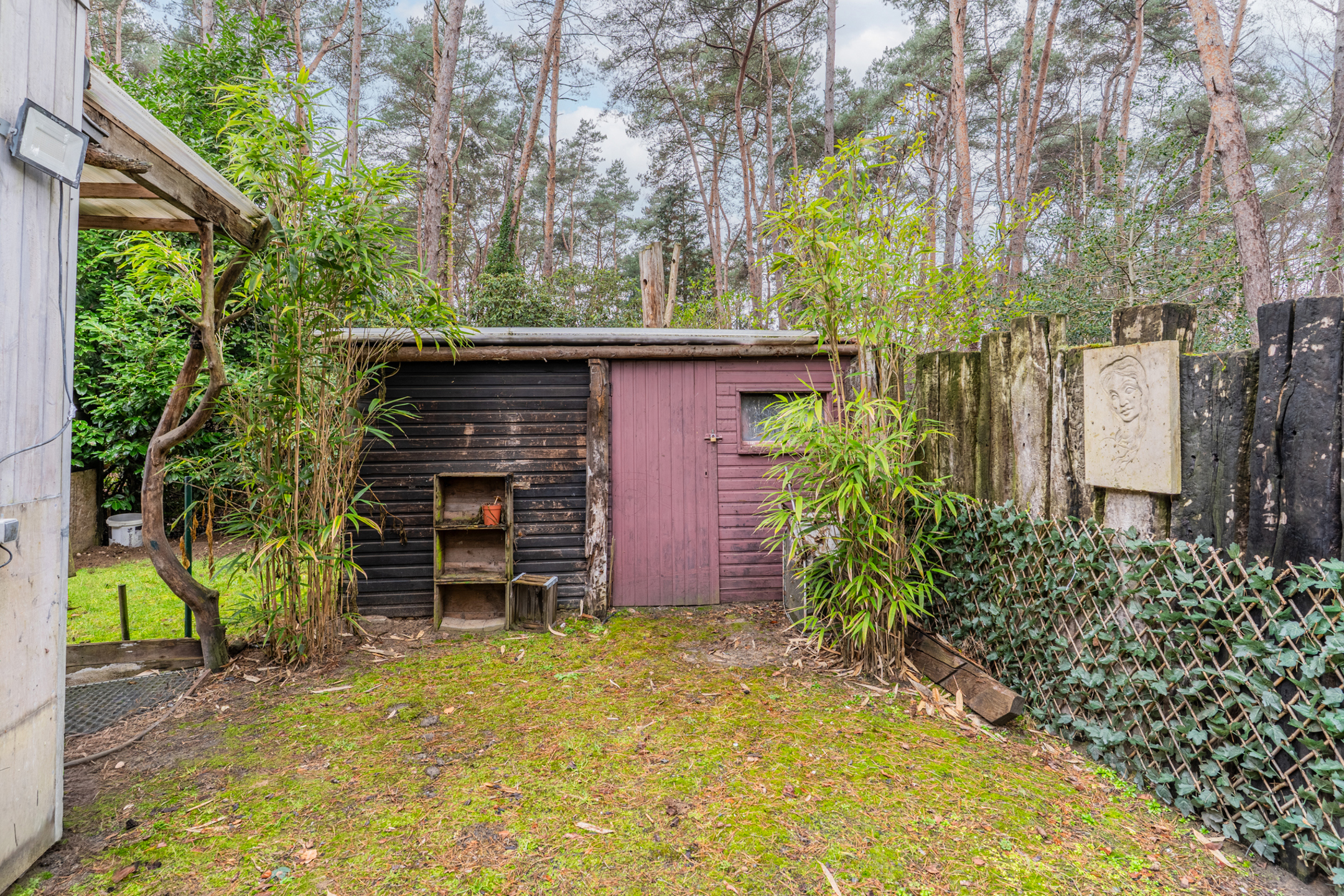 Charmante vakantiewoning in een groene oase van rust - foto 5