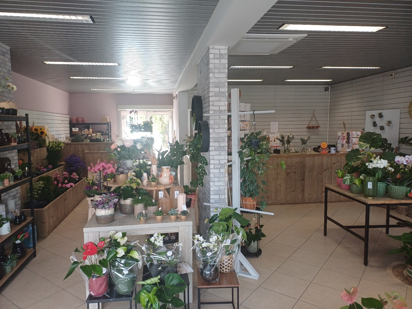 Commercial à vendre à Neerpelt - photo 5