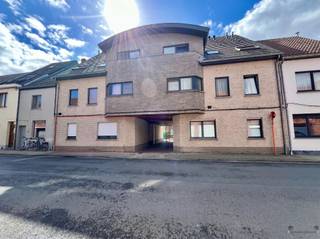 Welkom in dit gezellige & energiezuinige appartement in Hamme!Dit moderne en goed onderhouden gelijkvloers appartement maakt deel uit van een...