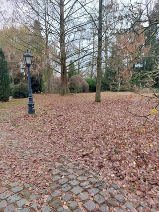 Het bouwperceel is gelegen in Kessel-Lo op een hoogte, achterin van de openbare weg met een inrit. De totale oppervlakte bedraagt 1596 m² (16...