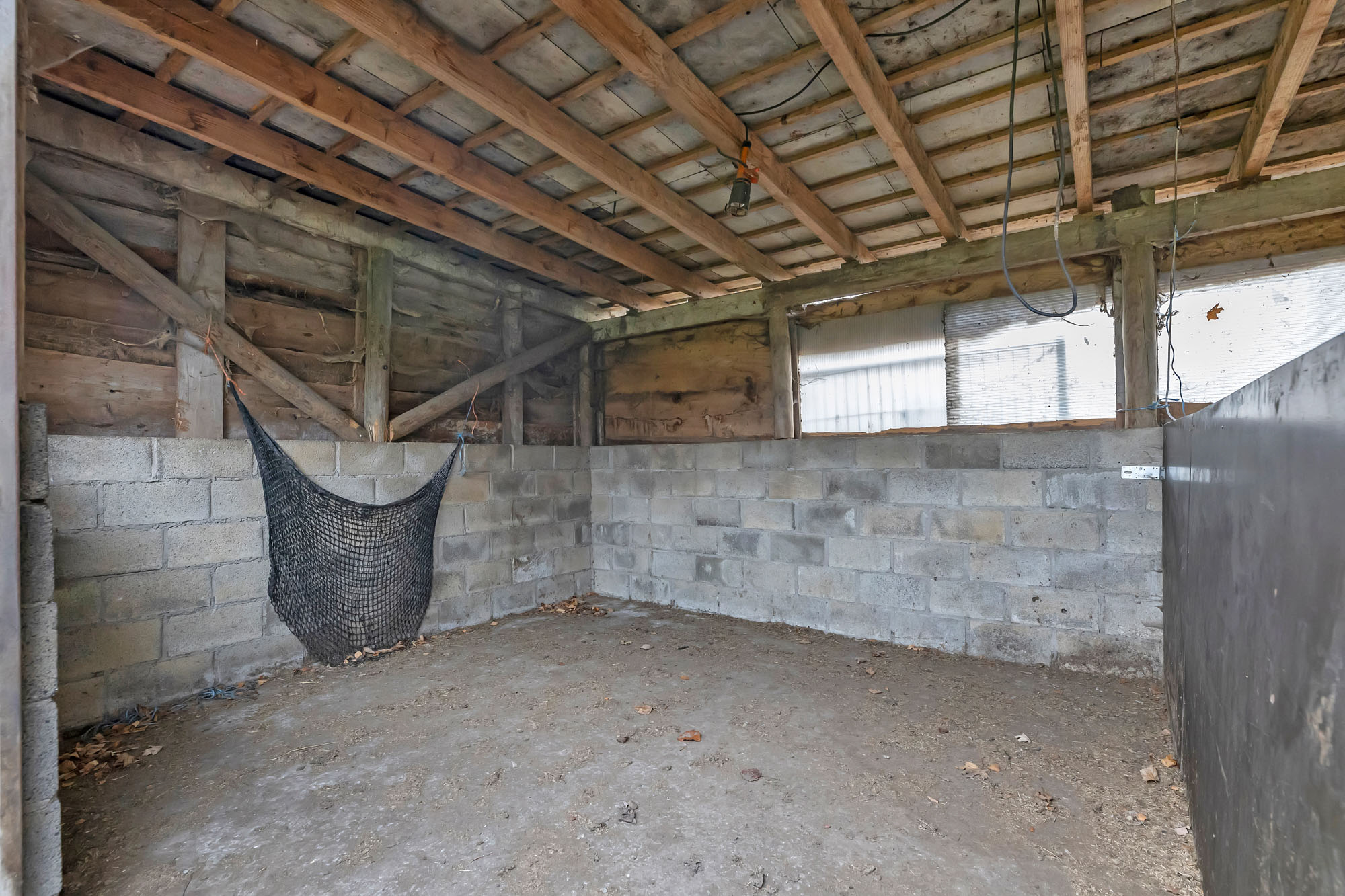 Weide met topligging op bijna 1,5ha - foto 4