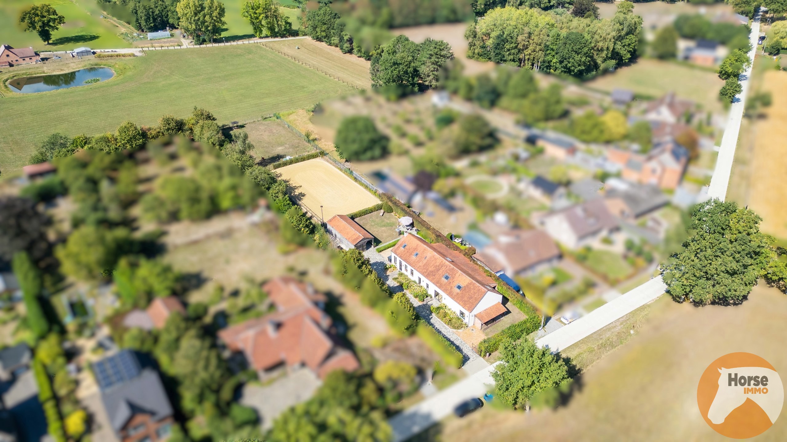 HAM - Langgevelhoeve met stallen, piste en weiland op 1ha5 - foto 3