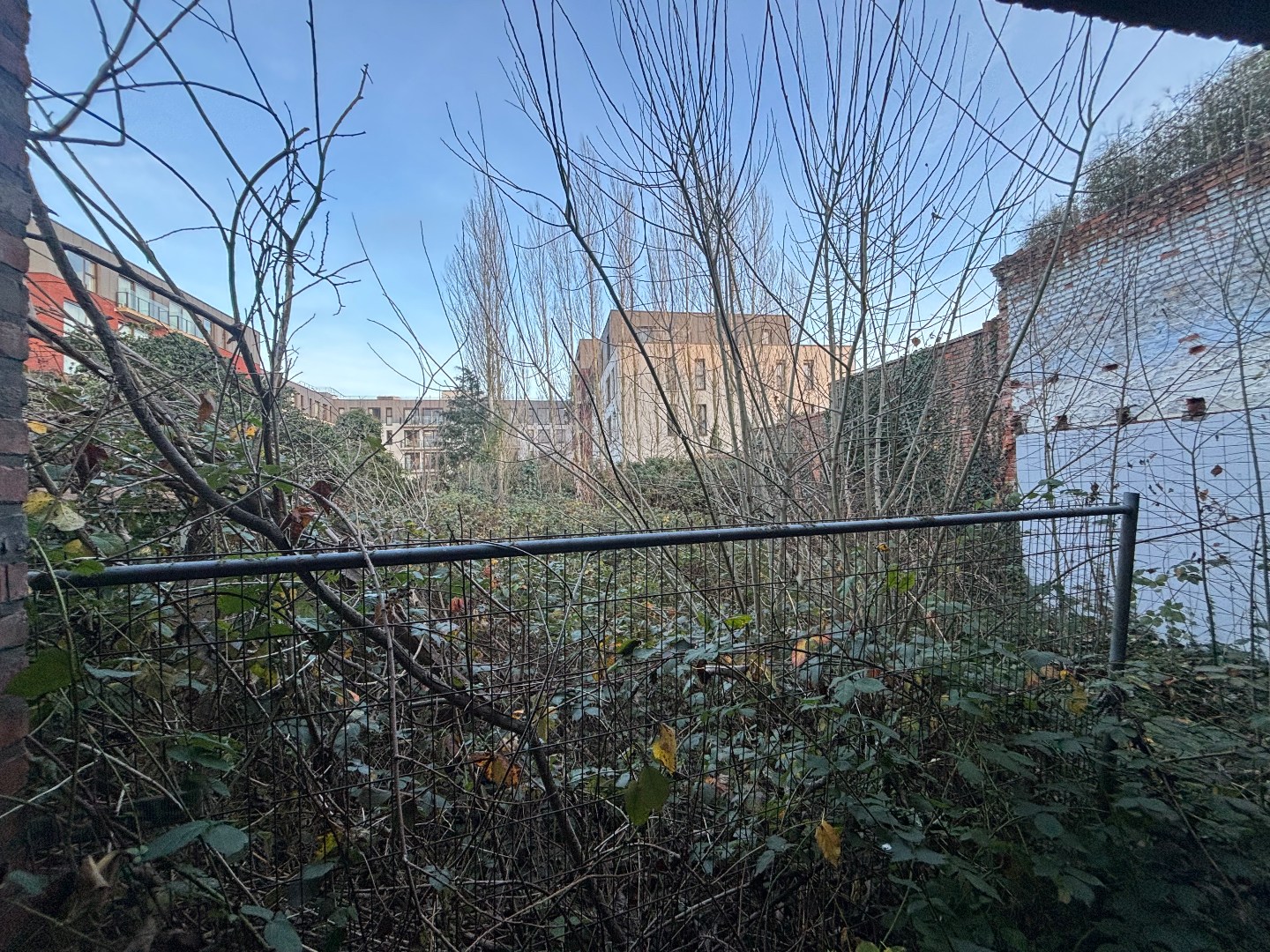 Terrain à vendre à Leopoldsburg - photo 5