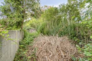 Nabij het centrum van Meulebeke vinden we deze verrassende percelen grond terug die uitgeven op zowel de Kasteeldreef als de Parochiehoek.Dit...